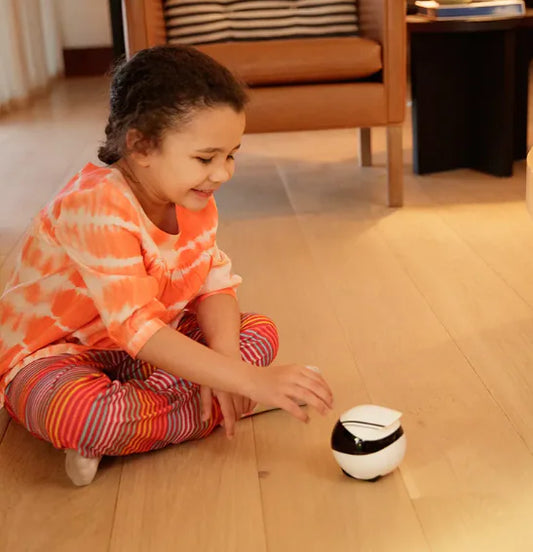 Smart Home Companion Robot with Remote Control (EBO SE/AIR)